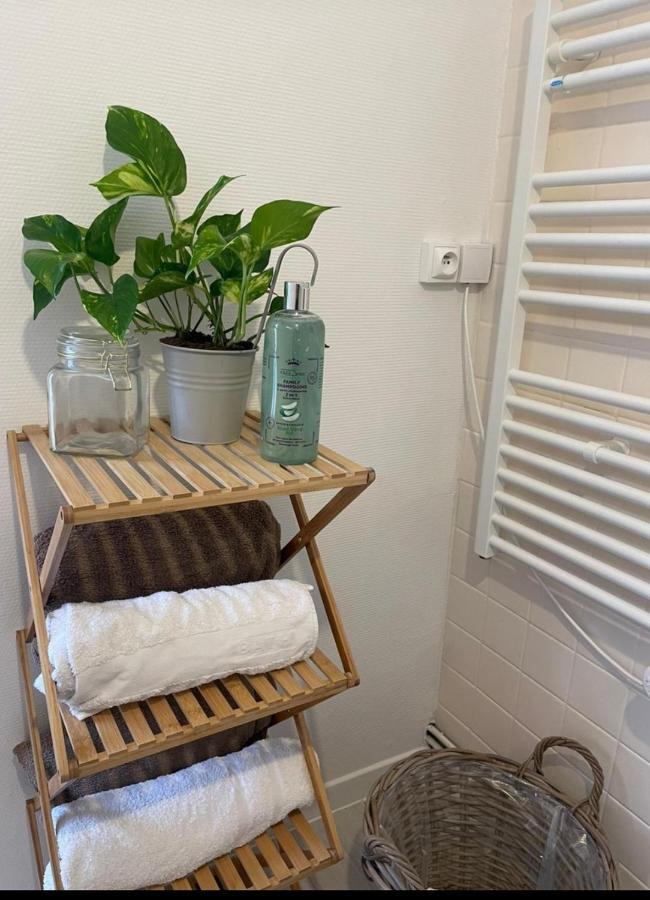 Maison Cosy Paris Orly Jardin Privee Vitry-sur-Seine Eksteriør billede